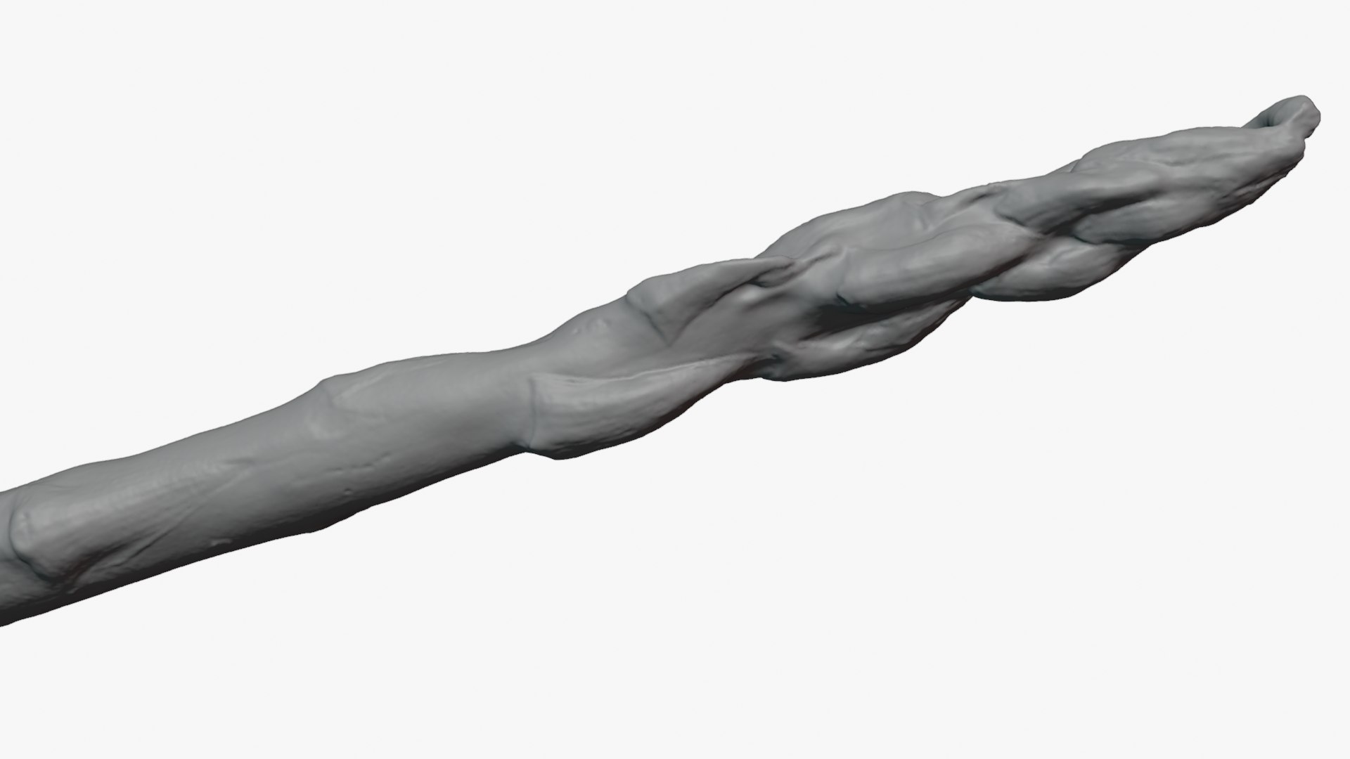 3D Asparagus 01 - Raw Scan model https://p.turbosquid.com/ts-thumb/qr/lEoHaU/4j/asparagus01_0012b/png/1758428673/1920x1080/fit_q87/038a61749277b24c395624d604d766ca6b69173d/asparagus01_0012b.jpg