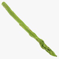 Asparagus 01 - Raw Scan