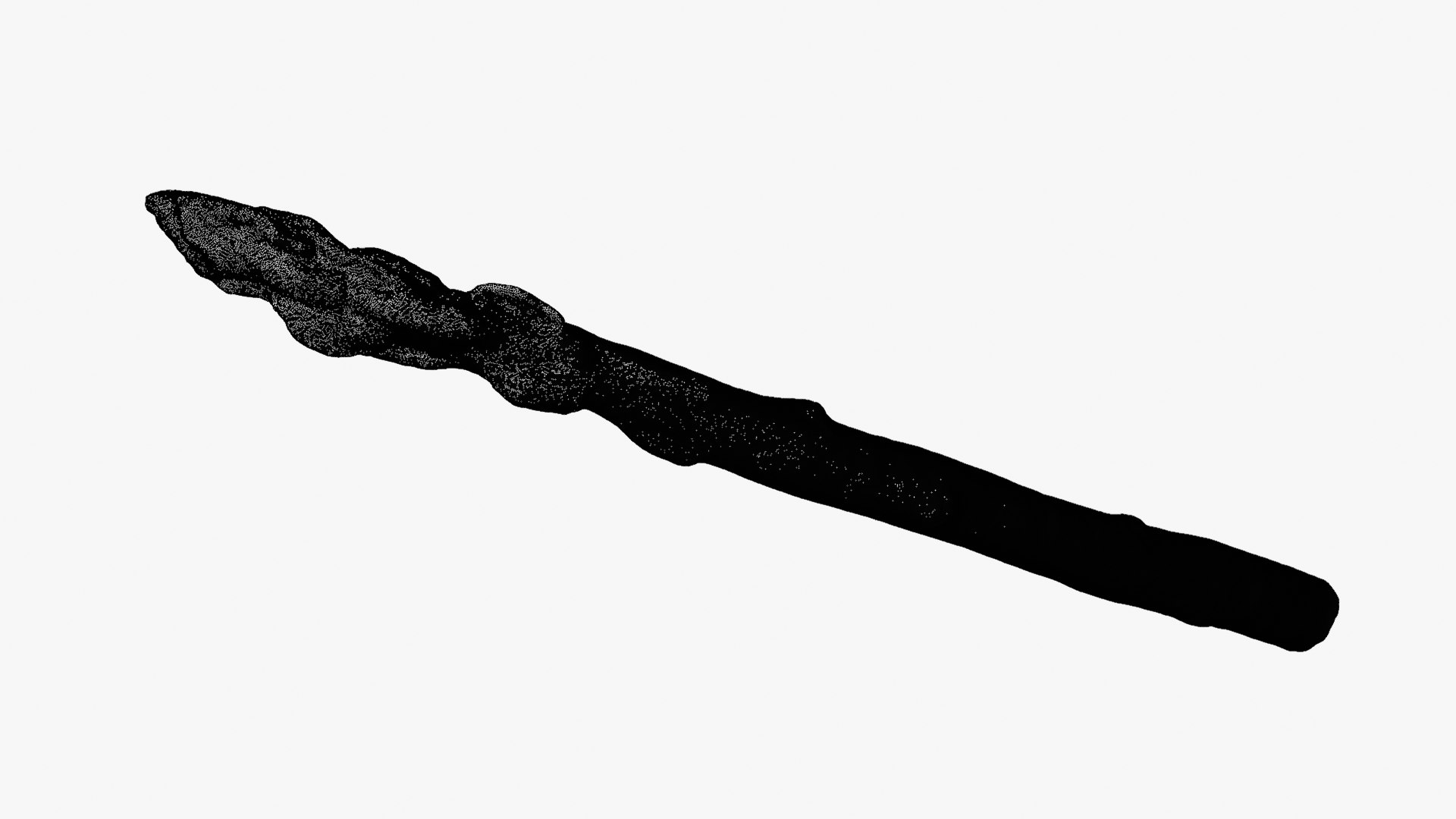 3D Asparagus 01 - Raw Scan model https://p.turbosquid.com/ts-thumb/qr/lEoHaU/hZ/asparagus01_d0009/png/1758428675/1920x1080/fit_q87/192942b285b5d34bdf1df138f2d2036da38f43cd/asparagus01_d0009.jpg