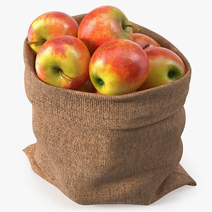 Burlap Apple Sack Full Red Yellow 3D model