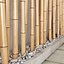 Bamboo decor n19
