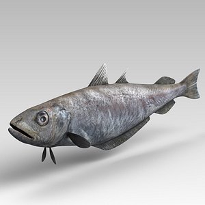 3D Fish Landing Net Model - TurboSquid 2137105