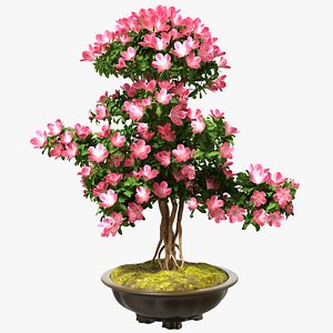3D model small bonsai tree flowers