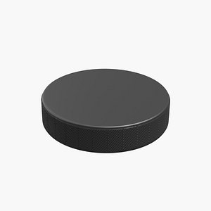 3D Hockey Puck