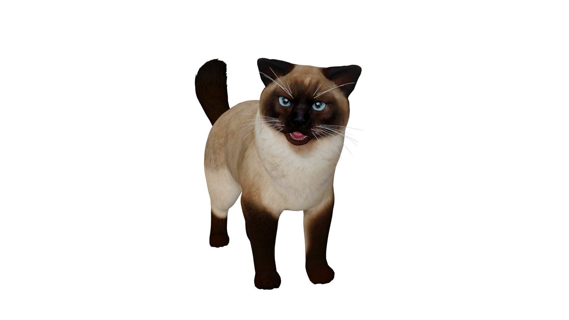 Ragdoll Cat Model - TurboSquid 2334469