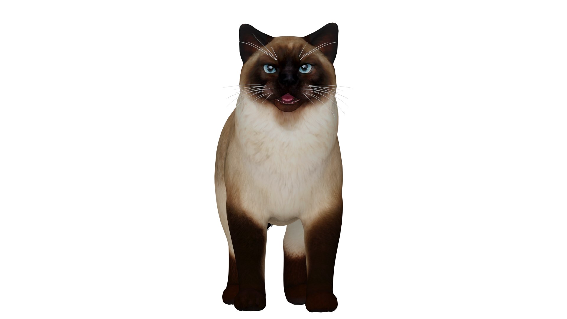 Ragdoll Cat Model - TurboSquid 2334469
