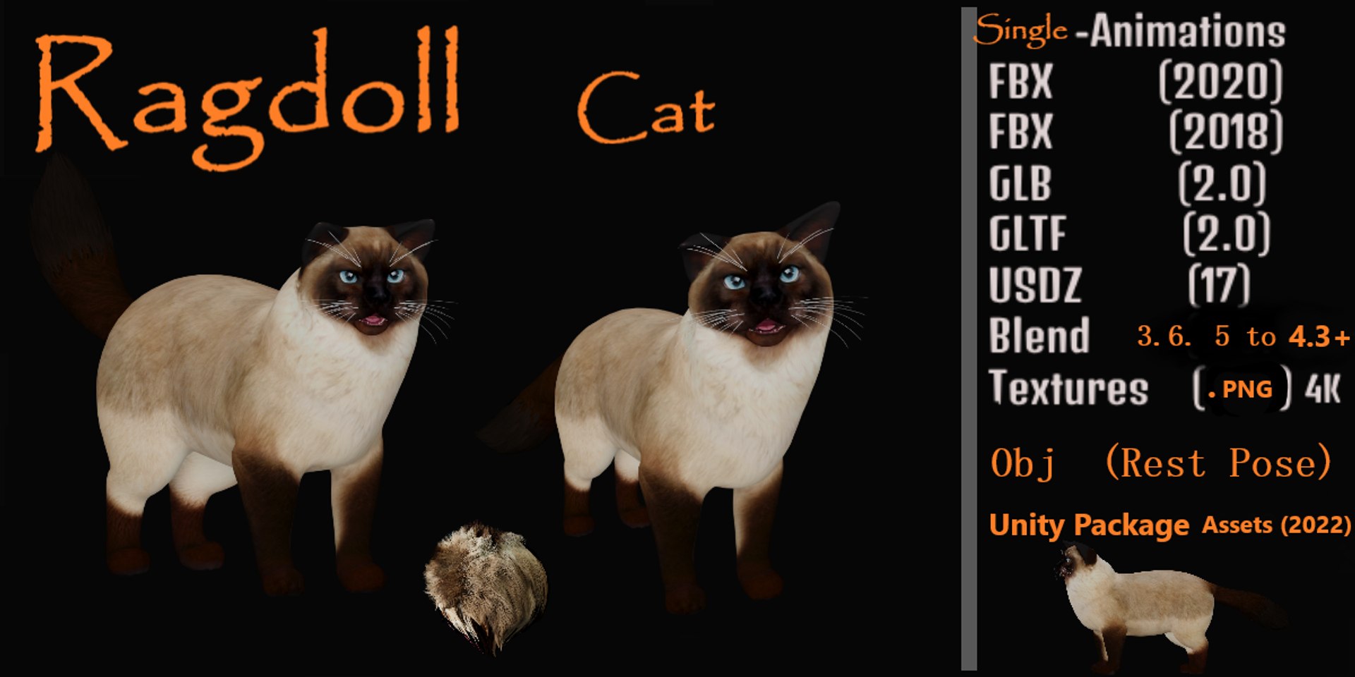 Ragdoll Cat Model - TurboSquid 2334469
