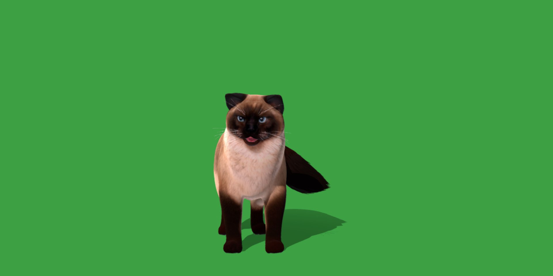 Ragdoll Cat Model - TurboSquid 2334469