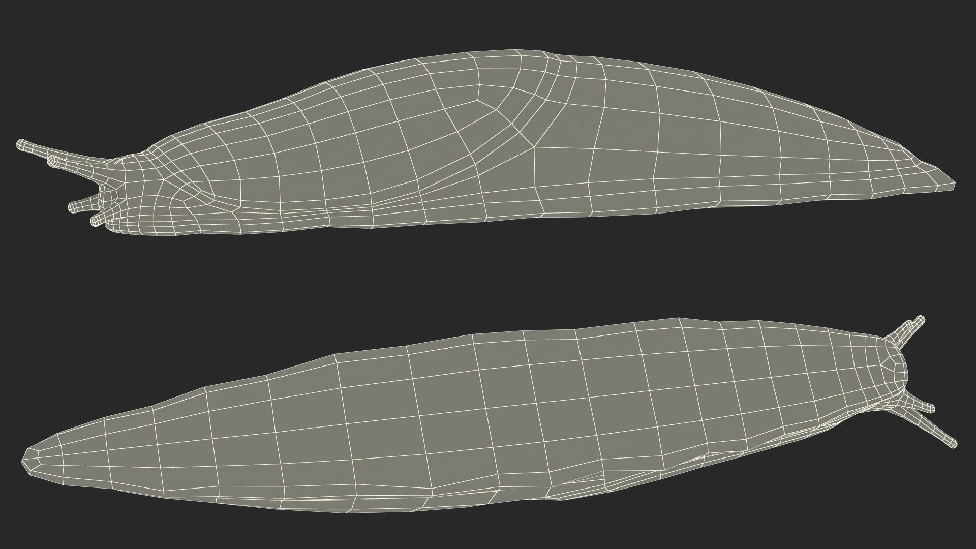 3D model Great Grey Slug https://p.turbosquid.com/ts-thumb/qs/VFZNHS/oq/greatgreyslug3dmodel022/jpg/1673623616/1920x1080/fit_q87/759f39d50160b364dbfaccd1020e3b8c446548ea/greatgreyslug3dmodel022.jpg