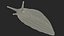 Great Grey Slug