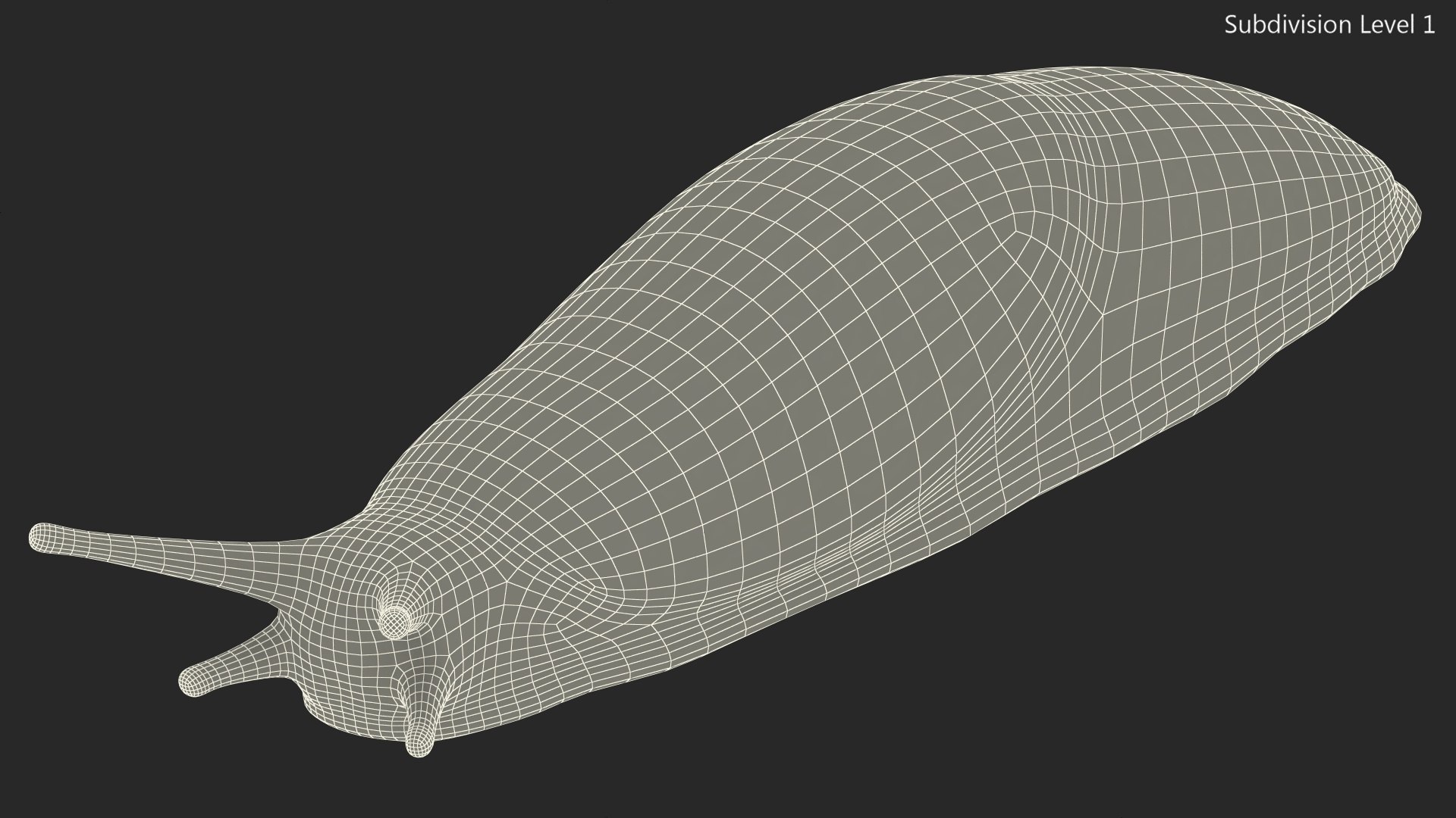 3D model Great Grey Slug https://p.turbosquid.com/ts-thumb/qs/VFZNHS/x2/greatgreyslug3dmodel017/jpg/1673623600/1920x1080/fit_q87/61fd35a7d6c49f7ec3ac1d15dad3159d082de88a/greatgreyslug3dmodel017.jpg