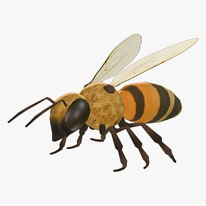 Animated Bee - VR compatible 3D model