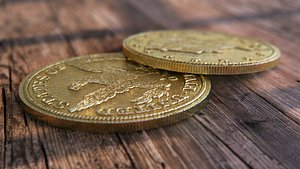 American gold coin - Highly detailed