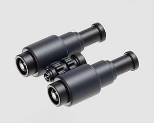 3D Binoculars model