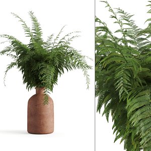 3D fern terracotta vase model