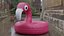 Flamingo inflatable toy Viva Magenta