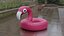 Flamingo inflatable toy Viva Magenta