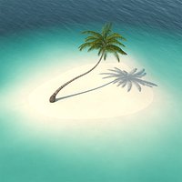 Desert Tropical Island with Palm Tree