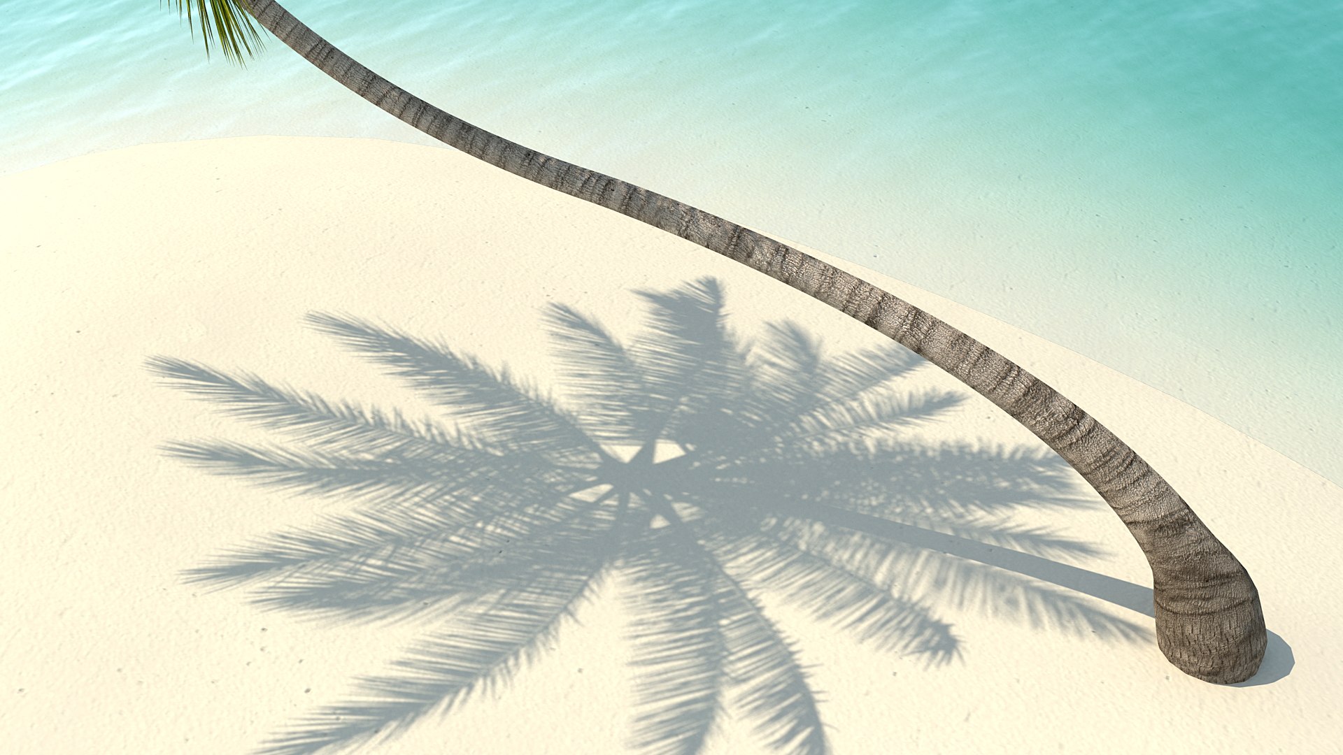 desert tropical island palm tree 3D model https://p.turbosquid.com/ts-thumb/qs/rBMy6Y/InMBd8fk/deserttropicalislandwithpalmtreevray3dmodel007/jpg/1576994628/1920x1080/fit_q87/12304401ca5506bce490263588ac435c1f866ef0/deserttropicalislandwithpalmtreevray3dmodel007.jpg
