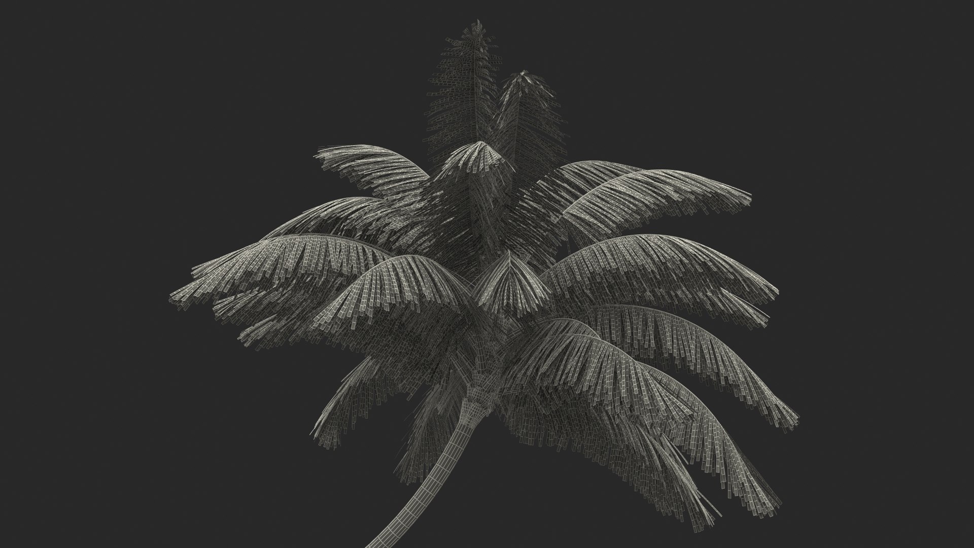 desert tropical island palm tree 3D model https://p.turbosquid.com/ts-thumb/qs/rBMy6Y/LJKtpW9d/deserttropicalislandwithpalmtreevray3dmodel019/jpg/1576994687/1920x1080/fit_q87/a4b5c76ee0cda27e7fa41894072cfd1f47702ffb/deserttropicalislandwithpalmtreevray3dmodel019.jpg