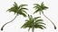 Desert Tropical Island with Palm Tree