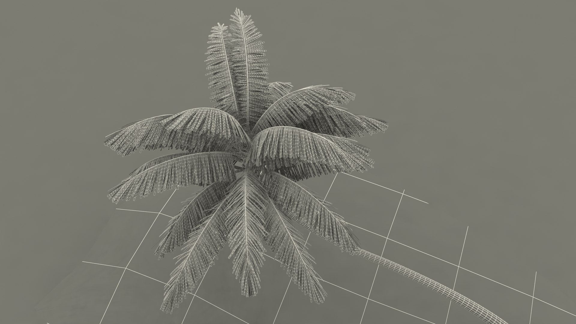 desert tropical island palm tree 3D model https://p.turbosquid.com/ts-thumb/qs/rBMy6Y/skcGgmna/deserttropicalislandwithpalmtreevray3dmodel020/jpg/1576994692/1920x1080/fit_q87/ca27206e1c96b213386baae541b05cfa134f3964/deserttropicalislandwithpalmtreevray3dmodel020.jpg