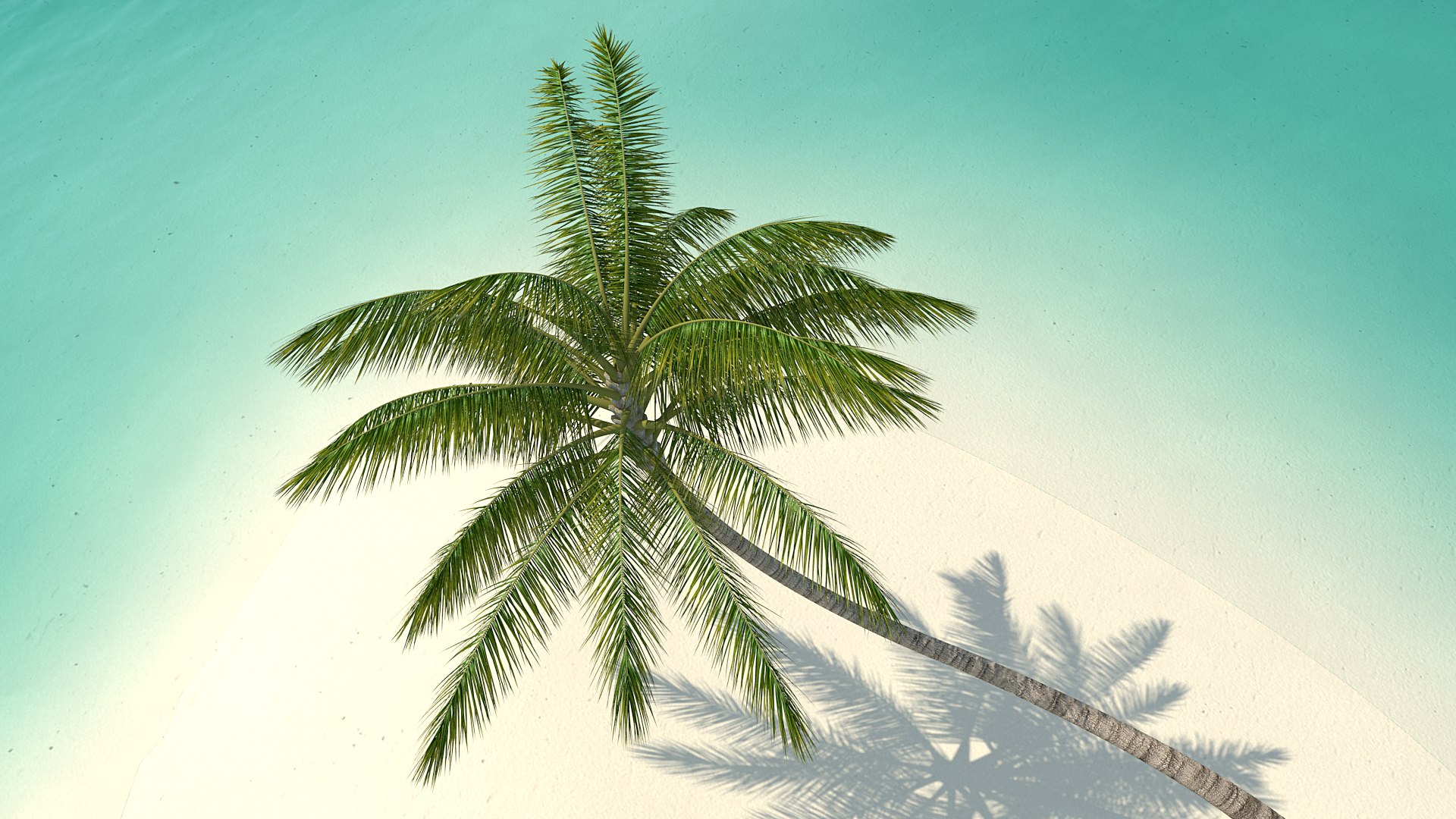 desert tropical island palm tree 3D model https://p.turbosquid.com/ts-thumb/qs/rBMy6Y/u2QUirsW/deserttropicalislandwithpalmtreevray3dmodel006/jpg/1576994622/1920x1080/fit_q87/20d070fee1946f1091c75792ee008f8ef5b90349/deserttropicalislandwithpalmtreevray3dmodel006.jpg