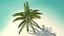 Desert Tropical Island with Palm Tree