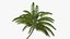 Desert Tropical Island with Palm Tree