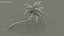 Desert Tropical Island with Palm Tree
