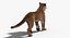 Cougar Animated Fur