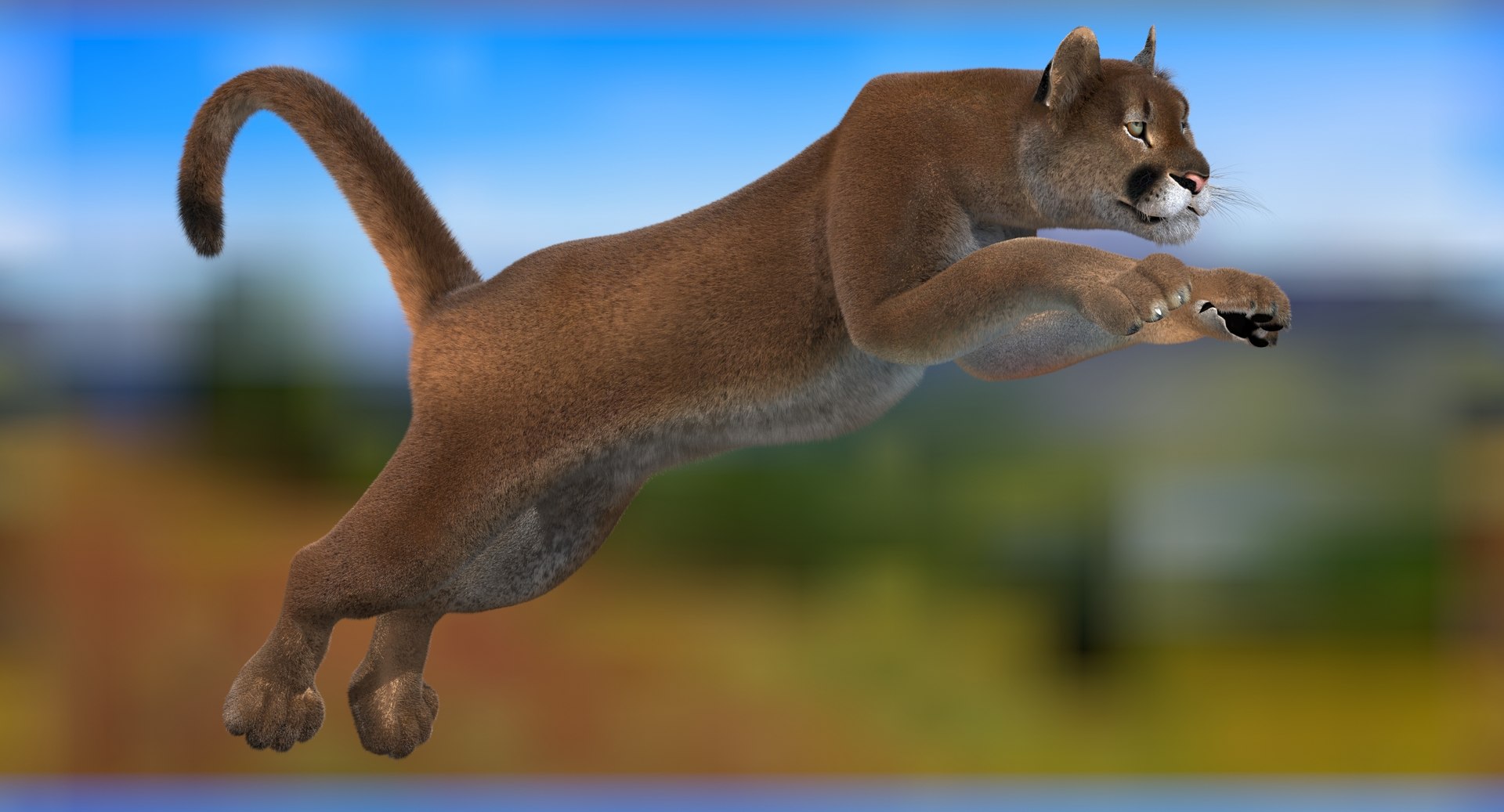 cougar fur animation cat 3d model https://p.turbosquid.com/ts-thumb/qs/sAWGA3/9ahDVEME/cougar3dmodelanimatedfur02/jpg/1448304305/1920x1080/fit_q87/f17d9c623e2ec6788a226b7ee8847bb227da1fe6/cougar3dmodelanimatedfur02.jpg