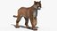 Cougar Animated Fur