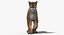 Cougar Animated Fur