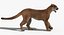 Cougar Animated Fur