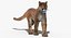 Cougar Animated Fur