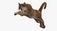 Cougar Animated Fur