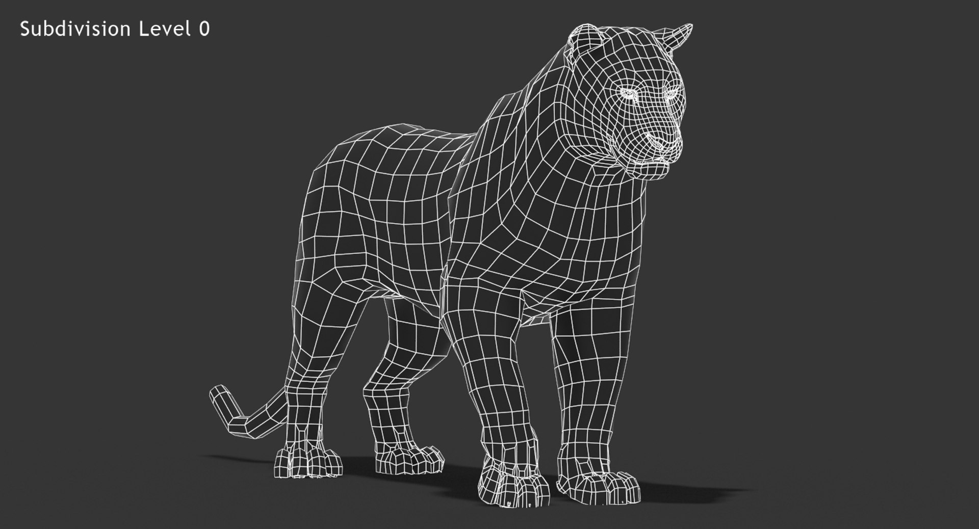 cougar fur animation cat 3d model https://p.turbosquid.com/ts-thumb/qs/sAWGA3/jLi8TIGr/wire_cougar3dmodel01/jpg/1448304306/1920x1080/fit_q87/bc3e9bf8ccac4f601c5ab3bd1e1a983d6f4873fe/wire_cougar3dmodel01.jpg