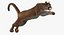 Cougar Animated Fur