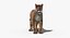 Cougar Animated Fur