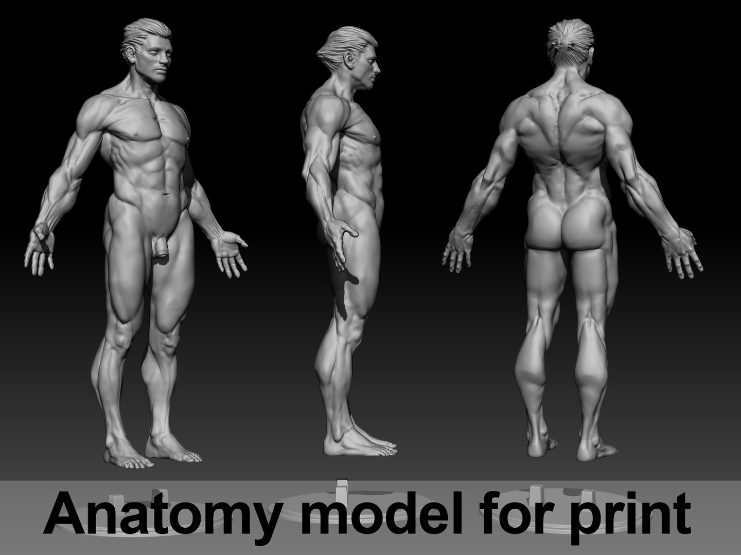 Printing Anatomy 3D Model TurboSquid 1306321