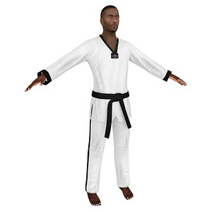 3D taekwondo 4
