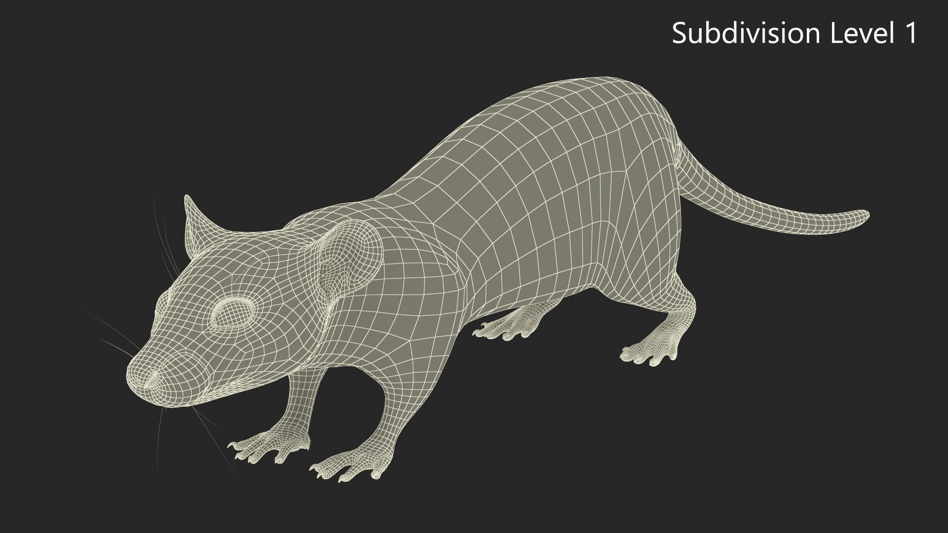 3D Realistic Rat With Fur For Maya - TurboSquid 2352559