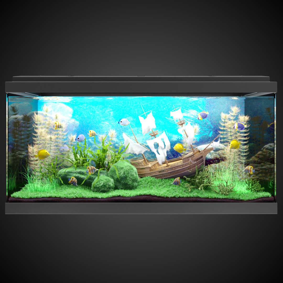 minimalist fish tank｜TikTok Search