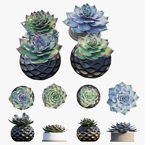 stone flower set 01 3D model
