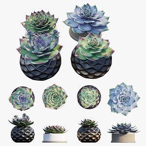 Stone flower set 01