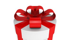 3ds white gift box
