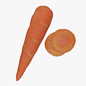 Carrot and Carrot Slice