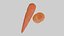 Carrot and Carrot Slice