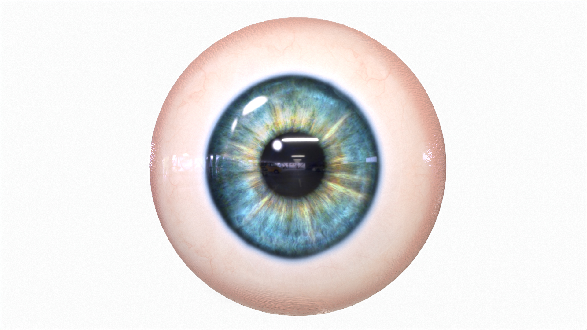 Human Eyeball Collection 3D - TurboSquid 1881835